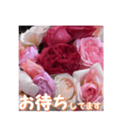 薔薇の花♡RPdR・挨拶メッセージ（個別スタンプ：9）