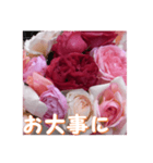 薔薇の花♡RPdR・挨拶メッセージ（個別スタンプ：10）