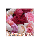 薔薇の花♡RPdR・挨拶メッセージ（個別スタンプ：12）