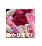 薔薇の花♡RPdR・挨拶メッセージ（個別スタンプ：16）