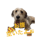 HAPPY DAY ！（個別スタンプ：1）