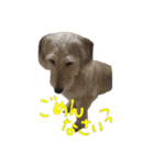 HAPPY DAY ！（個別スタンプ：5）
