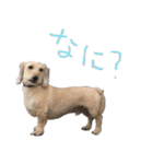 HAPPY DAY ！（個別スタンプ：6）