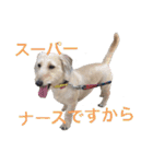 HAPPY DAY ！（個別スタンプ：24）