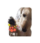 HAPPY DAY ！（個別スタンプ：40）
