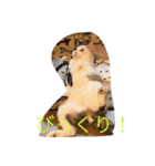 マリの日常（個別スタンプ：4）