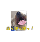 くろまるスタンプ（個別スタンプ：9）