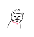 ねこもよう（個別スタンプ：9）