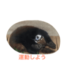 夏の動物園（個別スタンプ：4）