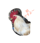 夏の動物園（個別スタンプ：6）