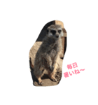 夏の動物園（個別スタンプ：7）