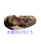 夏の動物園（個別スタンプ：8）