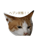 りくスタンプ第二弾（個別スタンプ：3）