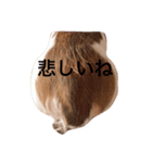 ホップドッグワン（個別スタンプ：8）