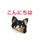りきゅさんとひみ その2（個別スタンプ：1）