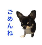 りきゅさんとひみ その2（個別スタンプ：2）
