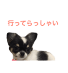 りきゅさんとひみ その2（個別スタンプ：5）
