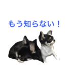 りきゅさんとひみ その2（個別スタンプ：8）