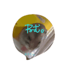 かわいい我が家のハムちゃん（個別スタンプ：8）