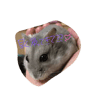 かわいい我が家のハムちゃん（個別スタンプ：9）