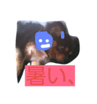 ラピ（個別スタンプ：8）