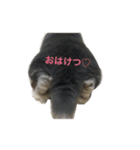うさぎのめろのすけぇぇえ。（個別スタンプ：7）