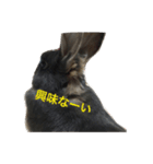 うさぎのめろのすけぇぇえ。（個別スタンプ：8）