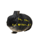 うさぎのめろのすけぇぇえ。（個別スタンプ：21）