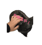 うさぎのめろのすけぇぇえ。（個別スタンプ：25）