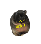 うさぎのめろのすけぇぇえ。（個別スタンプ：31）