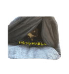 うさぎのめろのすけぇぇえ。（個別スタンプ：37）