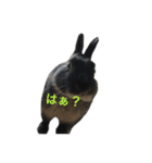 うさぎのめろのすけぇぇえ。（個別スタンプ：39）