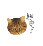 うなししゃ（個別スタンプ：8）