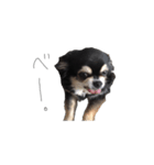 ALAN.o（個別スタンプ：2）