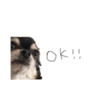 ALAN.o（個別スタンプ：5）