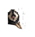 ALAN.o（個別スタンプ：7）