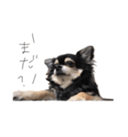 ALAN.o（個別スタンプ：8）
