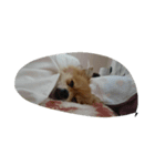 くりゅ（個別スタンプ：8）