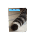 谷中 トトなん（個別スタンプ：4）