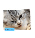谷中 トトなん（個別スタンプ：9）