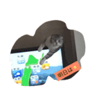 谷中 トトなん（個別スタンプ：10）