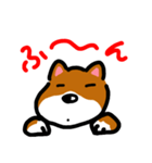 忠犬ポチ（個別スタンプ：3）