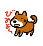 忠犬ポチ（個別スタンプ：5）