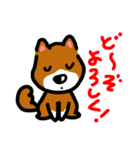 忠犬ポチ（個別スタンプ：7）
