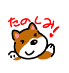 忠犬ポチ（個別スタンプ：9）