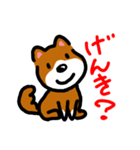 忠犬ポチ（個別スタンプ：11）