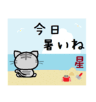 星 ねこ（個別スタンプ：14）