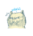 Aggressive Cats（個別スタンプ：4）