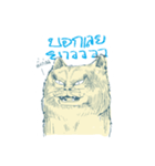Aggressive Cats（個別スタンプ：11）