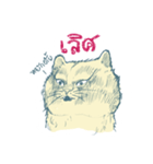 Aggressive Cats（個別スタンプ：12）
